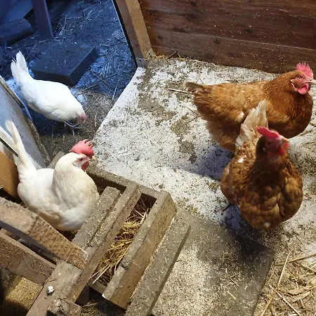 Ferienwohnung Zur Wahr 5 * Schmallenberg