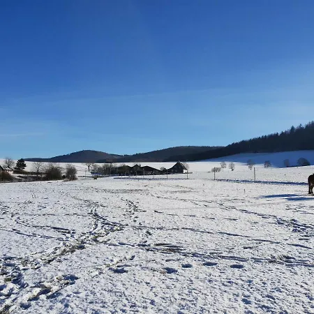 Ferienwohnung Zur Wahr 5 * Schmallenberg